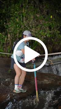 BIB:  <button type="button" onclick="openModal(27712349)" class="btn btn-primary btn-sm float-right" data-toggle="modal" data-target=".modal-high-quality">
                <i class="fa fa-download"></i> Download
                </button>